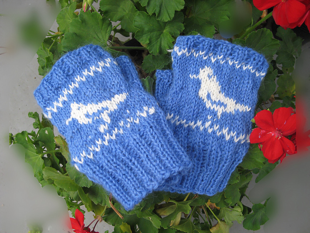 Bird fingerless gloves