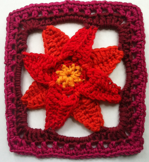 poinsettia