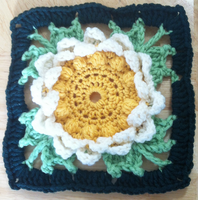 double daisy