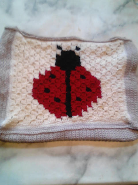 Labybird Project Bag
