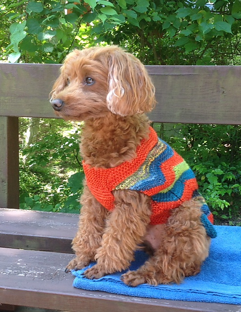 GLO safety Dog Sweater