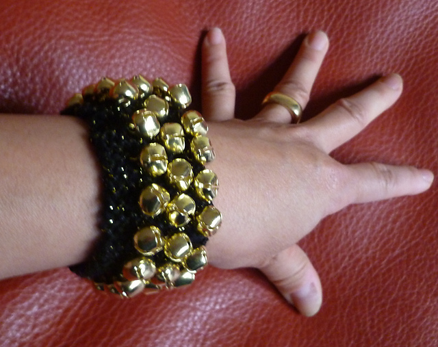 Dog Collar or A Bracelet