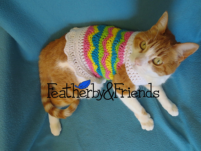 An Eggcellent Pet Sweater