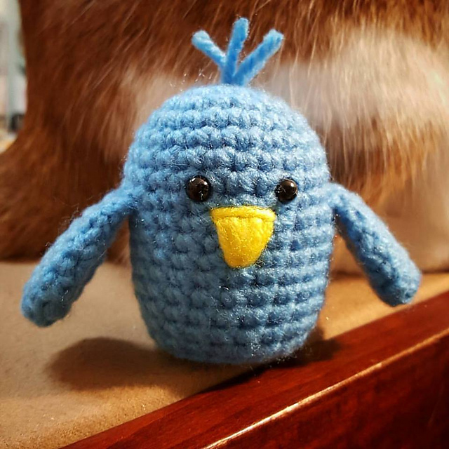 Bluebird Video CAL