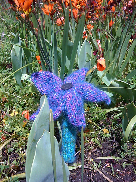 Flora