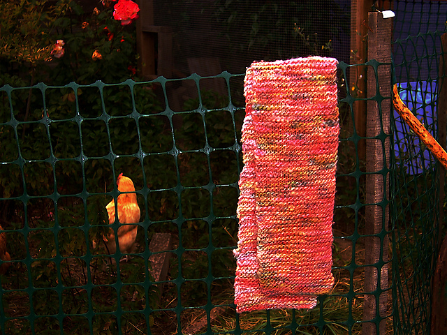 Rainbow Beginner's Scarf