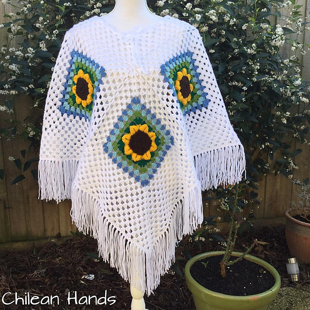Los Andes Mountains Poncho