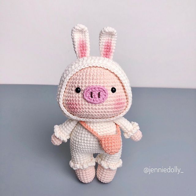 Gin The Bunny Pig