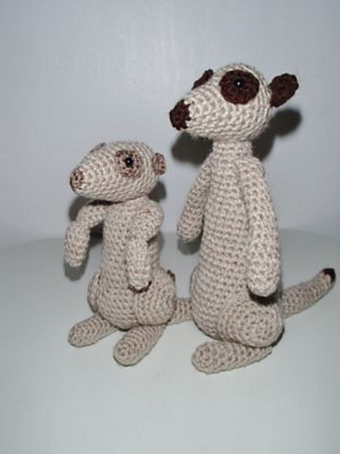 Meerkat's