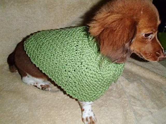 Pet Poncho