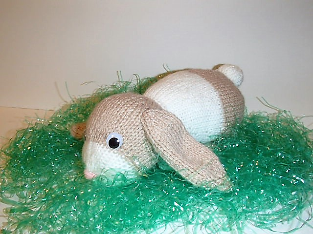 Lop Ear Bunny