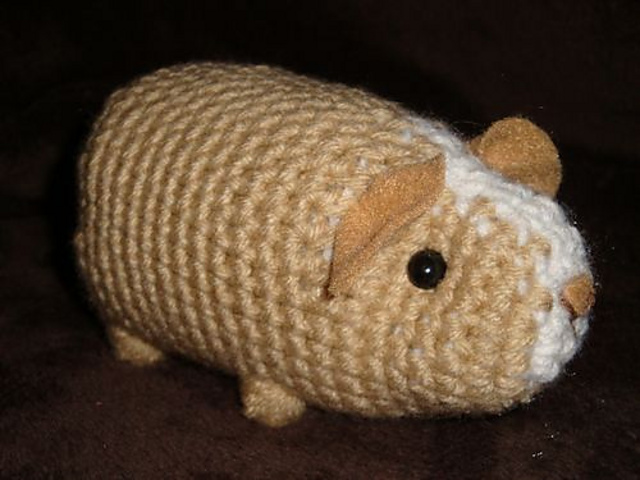 Guinea Pig