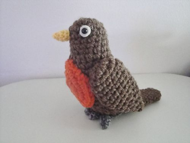 Red Breast Robin