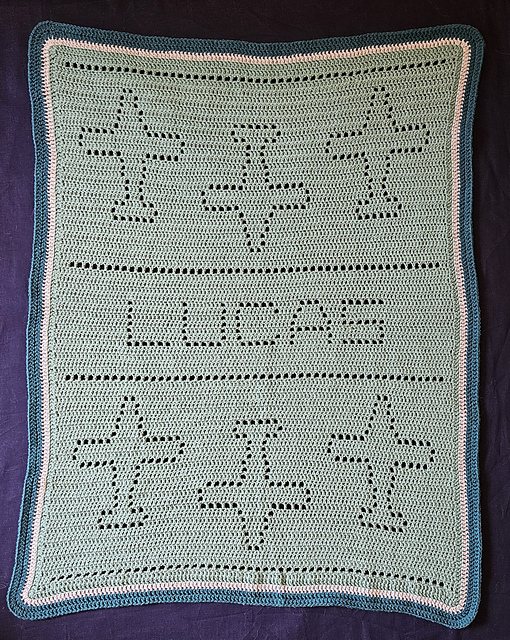 Personalised plane filet crochet baby blanket