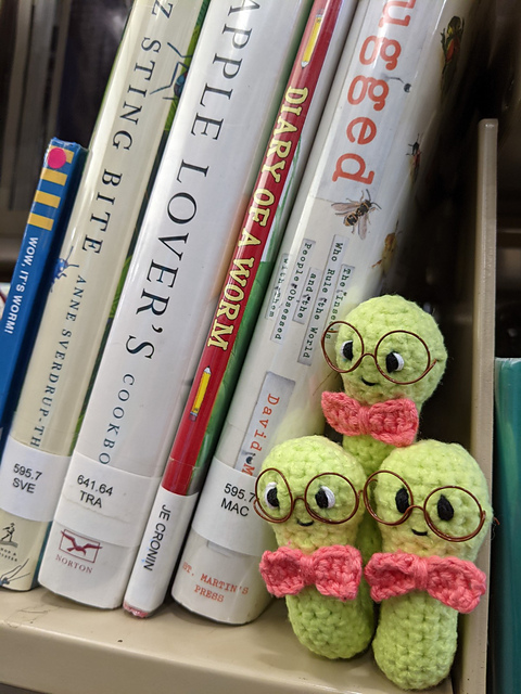 Dewey the Bookworm