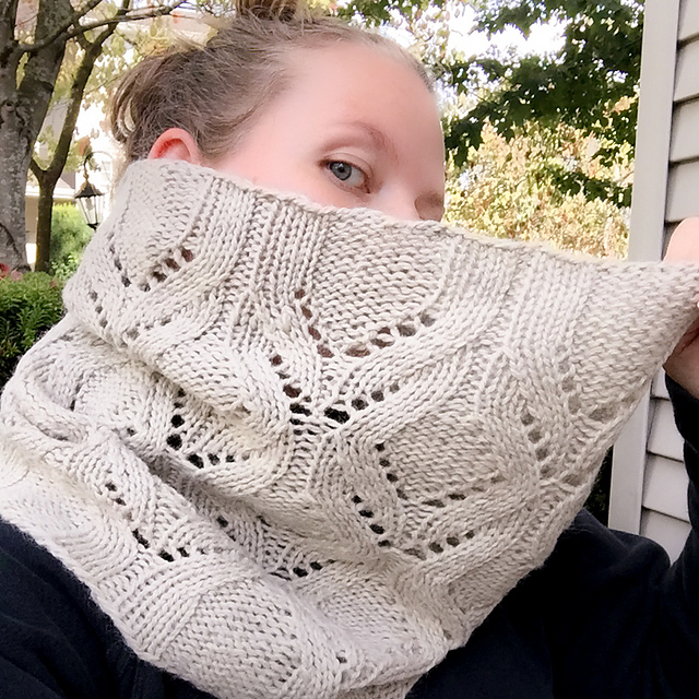 Watershed Cowl