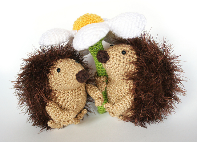 hedgehog Evert
