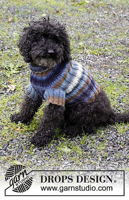 185-35 Paws & Stripes
