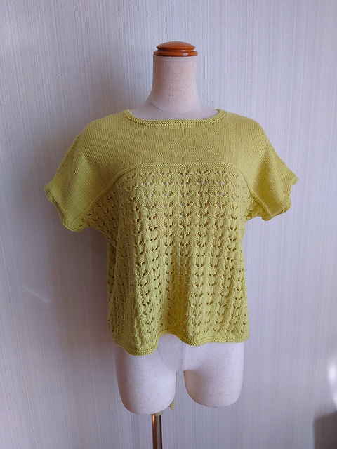 21.　The back is a pullover of a point(背中がポイントのプルオーバー)