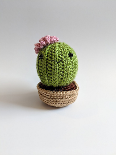 Mo the Cactus