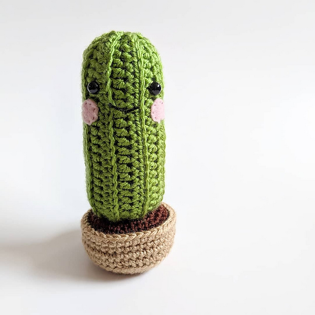 Sally the Cactus