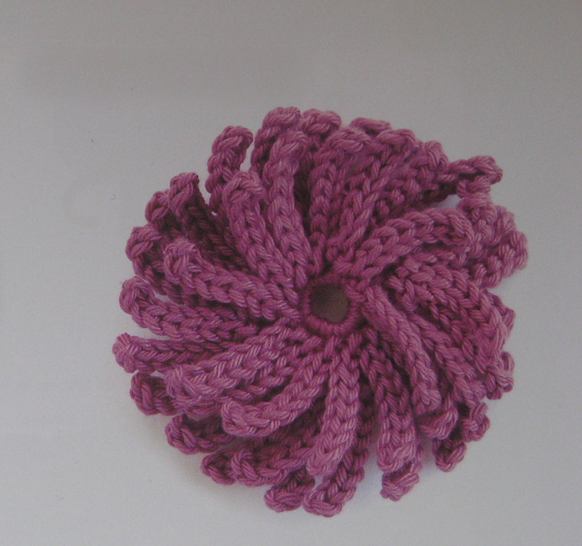 Chrysanthemum