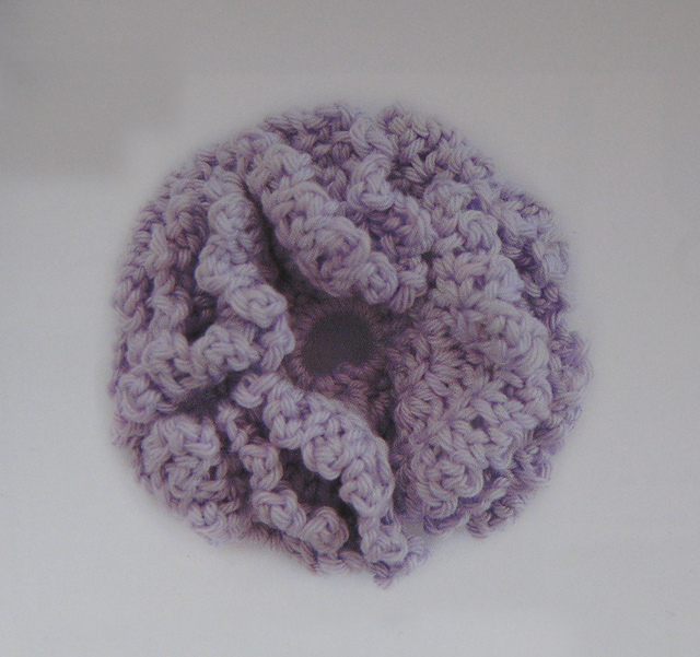 Carnation