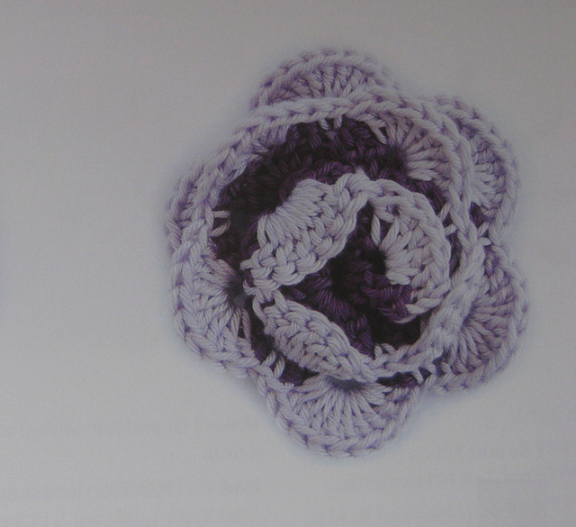 Damask Rose