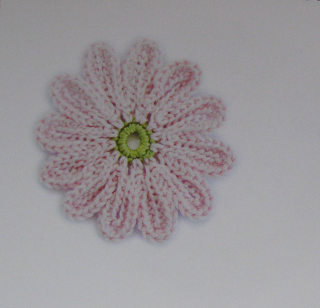 Gerbera