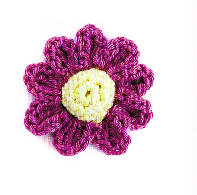 Button Carnation