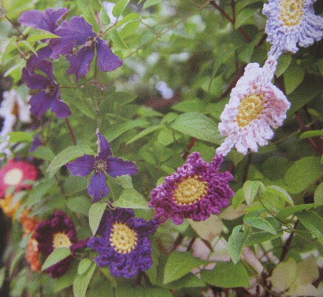 Daisy Garland