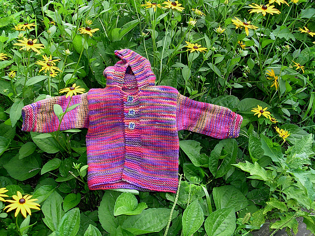 Little Red Riding Hood Jacket
