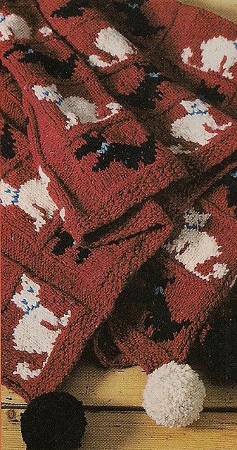 #27 Dog and Cat Afghan