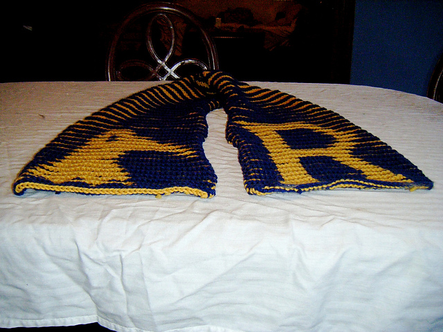 Ravenclaw Illusion Scarf
