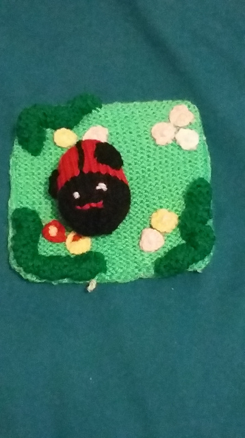 Mummy and Baby Ladybird