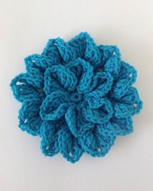 Hydrangea