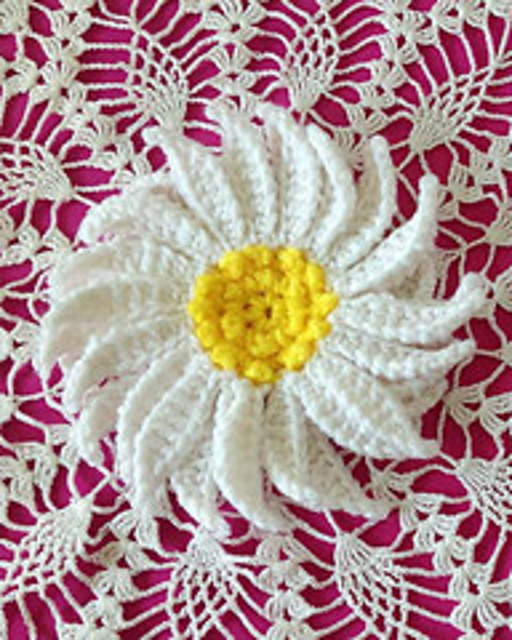Aster