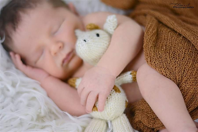 Newborn Giraffe