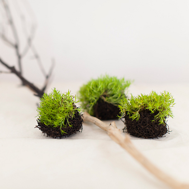 Knitted Nest