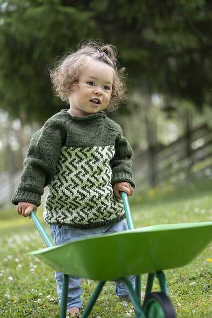 Harvest kids