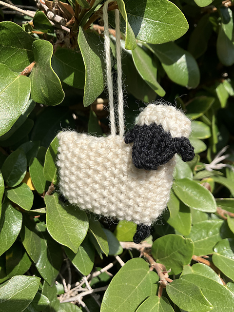 Sheep!