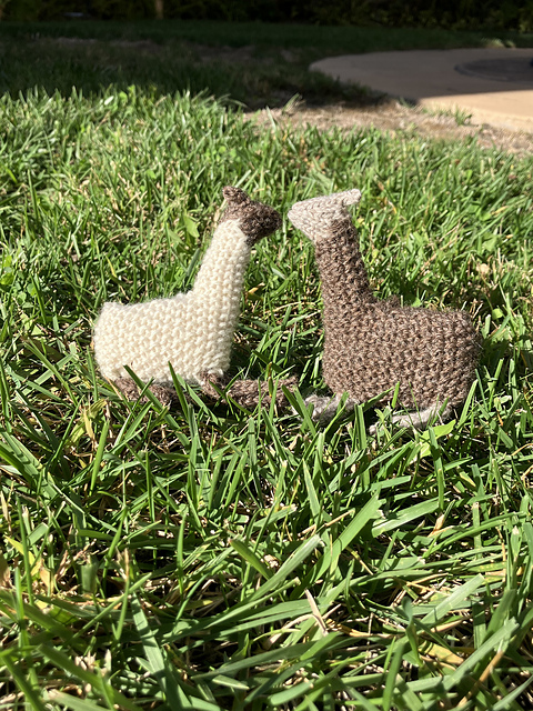 Llama!