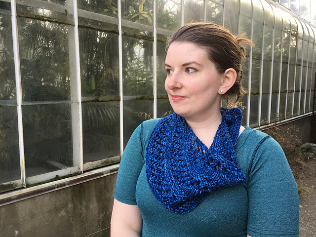 Dorsal Bandana
