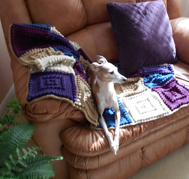 PAMPERED PET throw