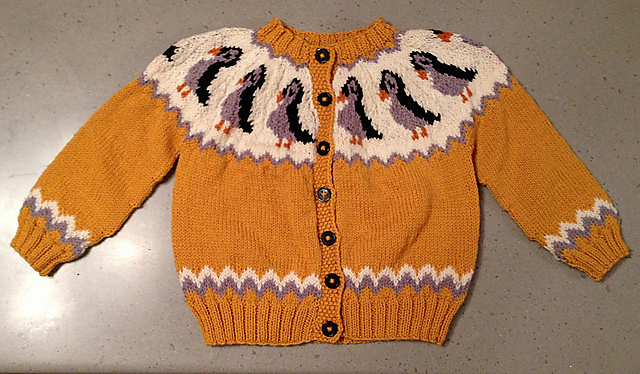 Puffin Yoke Cardigan (youth)