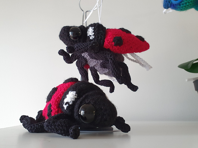 Flying Ladybug