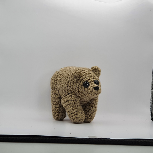 Bear