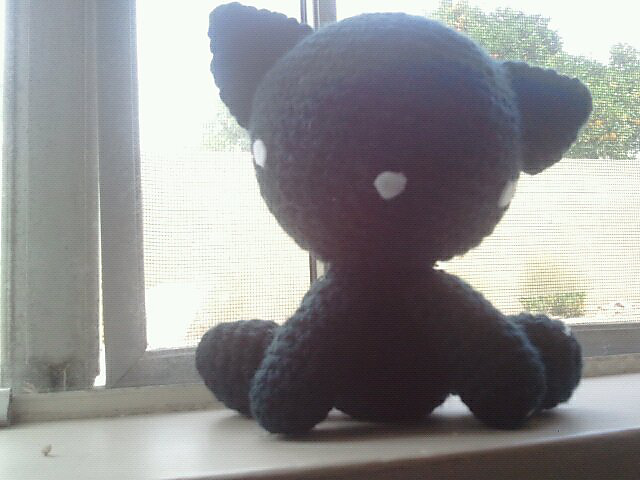 black cat