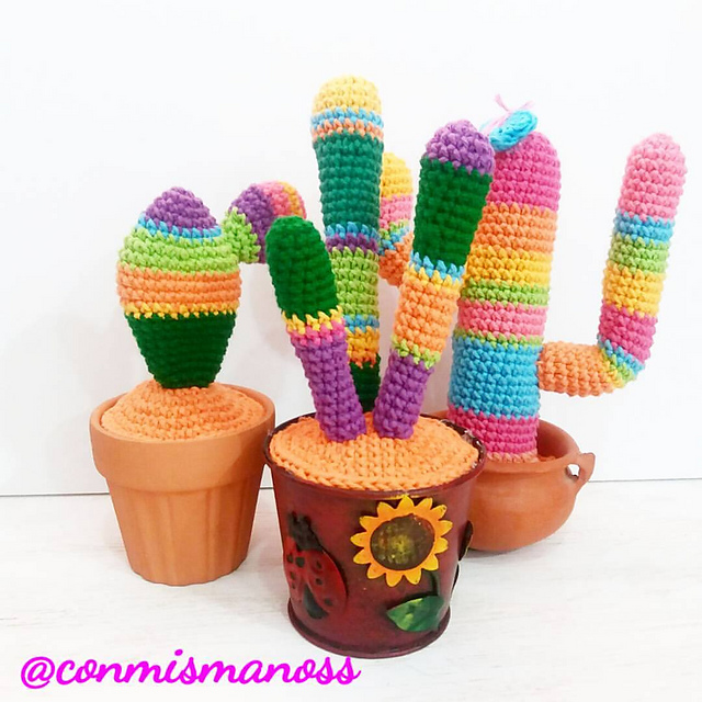 Colorful cactus collection