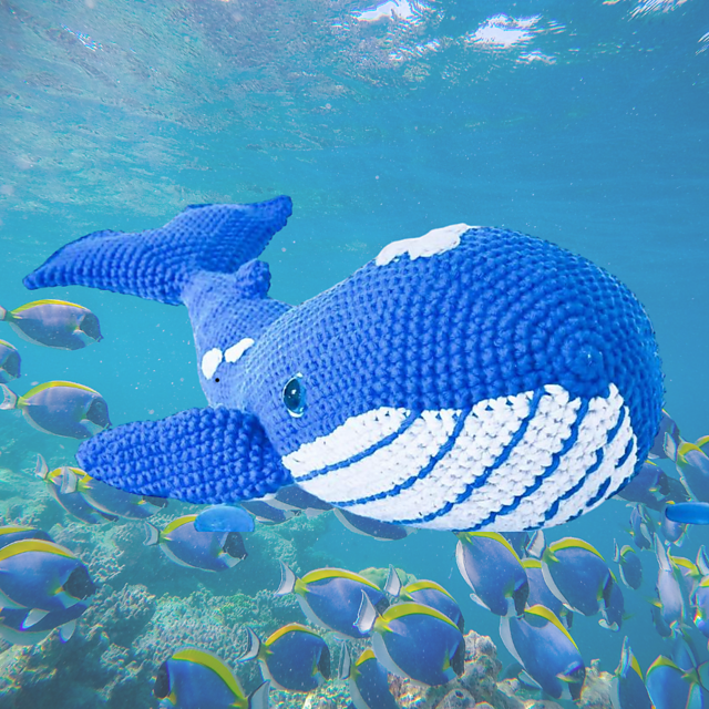 Tina, the blue whale